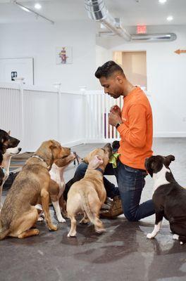 Our regular day campers with the head trainer Louie