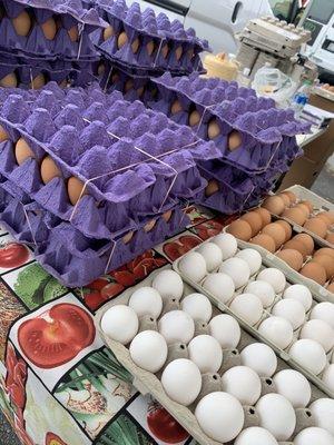 Fresh eggs