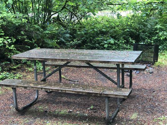 After I brush off the leaves. It's actually a nice table and even ground.