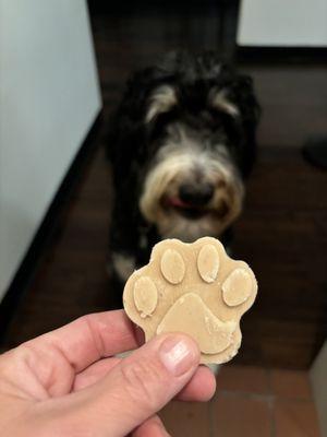 puppy pops! Ice cream for your fave furry friend