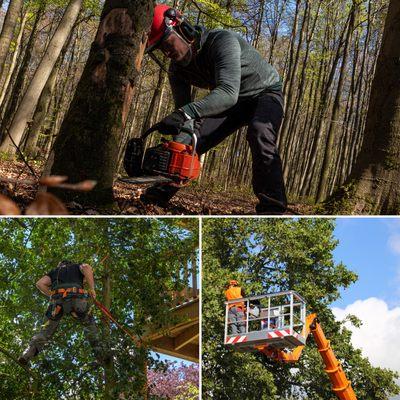 Transform Your Landscape Today!
Contact us for a consultation and schedule your tree cutting services.