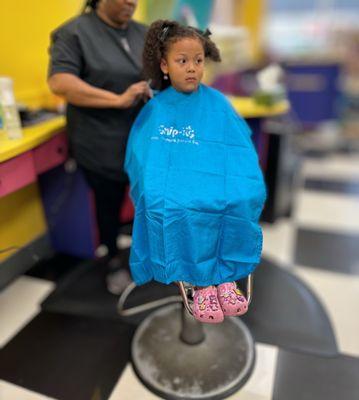 Snip-its Haircuts for Kids