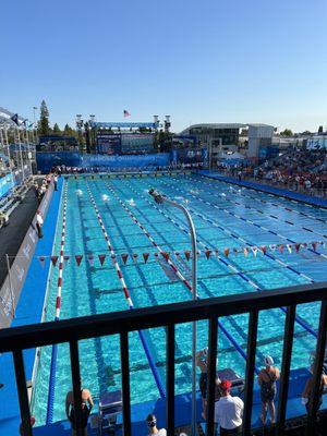 Absolutely stunning pool