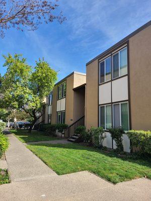 The Terrace Apartments