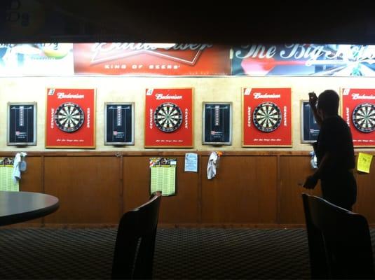 10 Dart Boards