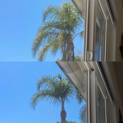 Before & After of 1 of my Queen Palms trimmed!