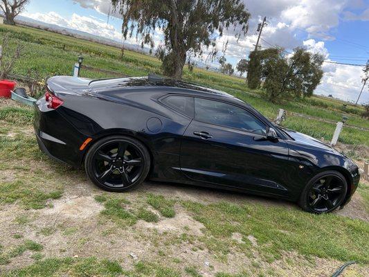 I bought this beautiful Camaro Lt1 at Thompson Chevrolet