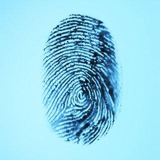 Live Scan Digital Fingerprints