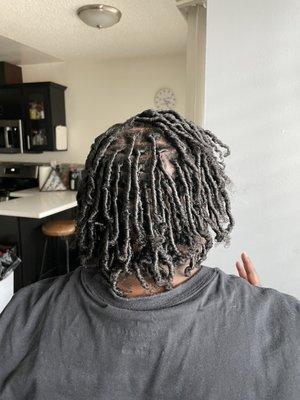 Coil Starter locs