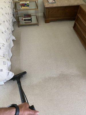 Carpet cleaning. Fresno carpet care in action!