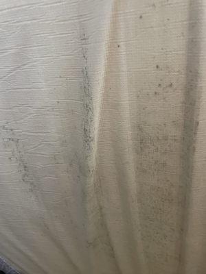 Mold that got into my mattress