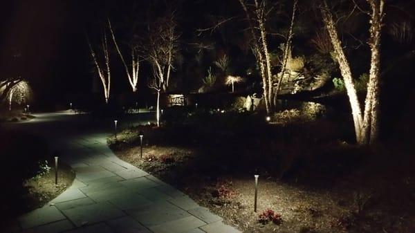 Landscape Lighting