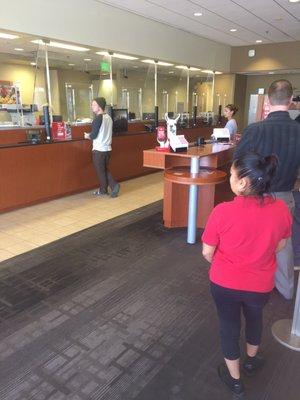 One Fing cashier. The rest of the employees are watching the single cashier work when they could be opening up more windows.