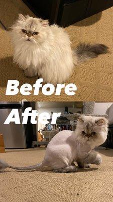 Before & After!!