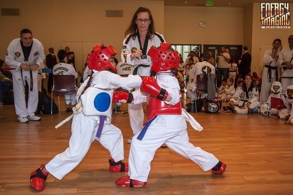 American Taekwondo Academy