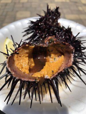 Sea urchin with some soy sauce