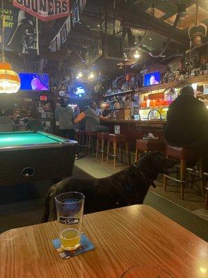 Dog, pool table , cold beers , bingo Wednesday