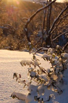 Located at 4500 feet in the mountains of San Diego, Camp Stevens can get snow in the winter. Spring, summer and fall are warm.