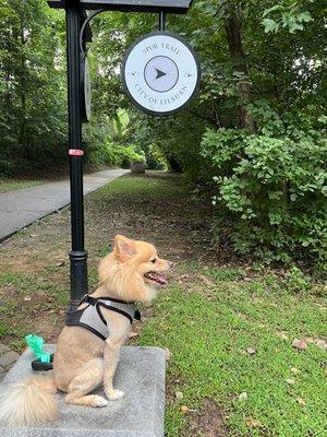 Puppy by trail sign