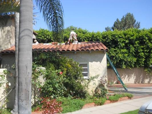 Clay Tile S Reroof with Stucco wall repairs.