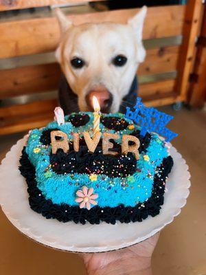 River with the paw medium cake