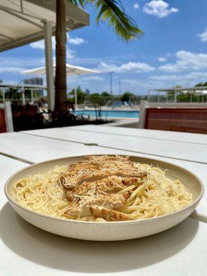 Pasta Chicken Alfredo