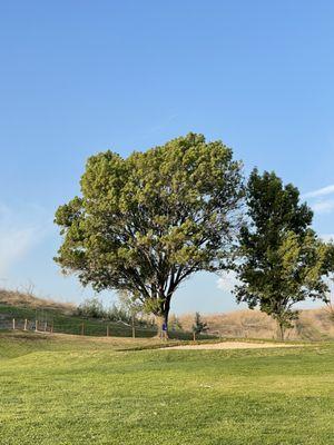 Raised green protected by a bunker on the right on Number 3 of the South Course