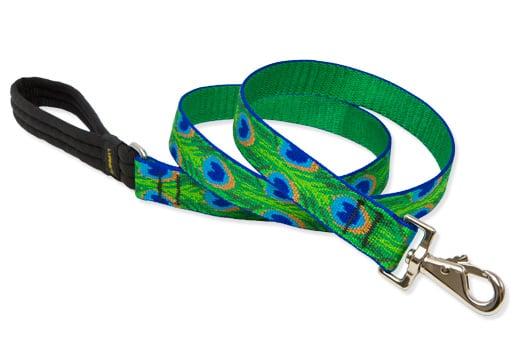 Awesome peacock patterned leash.