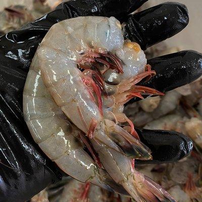 Fresh wild caught Gulf shrimp. Jumbo size 9-12 count.