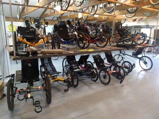 We have dozens of recumbent bikes and trikes in stock!