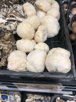 Edible puffballs also not in California