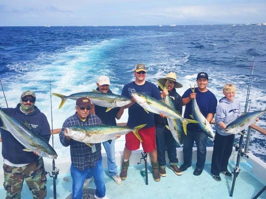 Yellowtail caught on 3/4 day fishing trip on Freelance