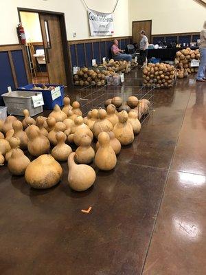 Lots and lots of wonderful Gourds to buy and decorated!