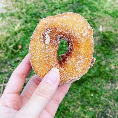 Apple Cider Donut