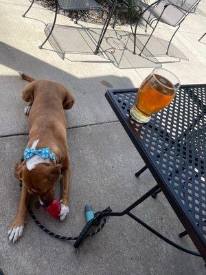 I brought my own peanut butter snack. Wait staff gave me a bowl of nice cold water.