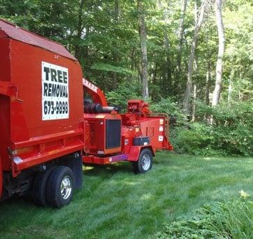 CC & L Tree Service