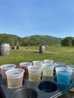 Cider Flight