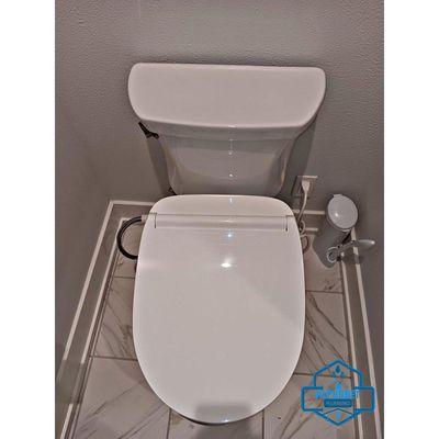 Toilet repair/ Toilet replacement