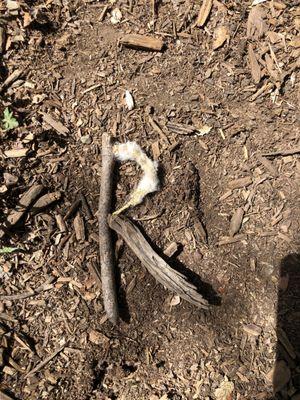 working on letter formation with natural materials to help kids improve academic skills