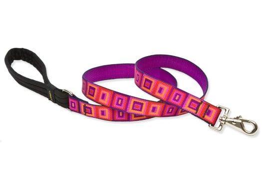 Another vibrantly colored and patterned leash.