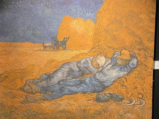 "Van Gogh, the Immersive Experience"  exhibit at the Strand