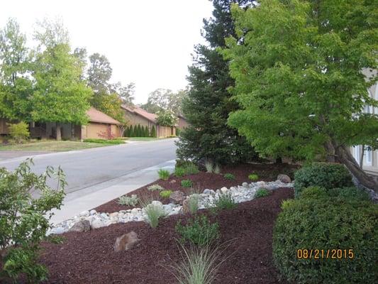 Dan and I recently had our front yard completely redone by Tim, The Yard Guy.