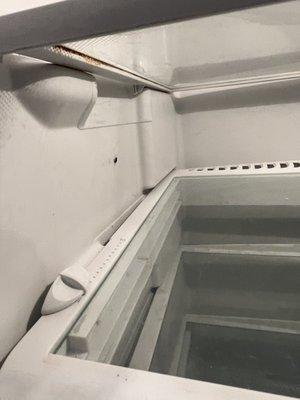 Roaches in empty fridge