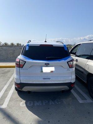 2017 Ford Escape Back Glass Replacement