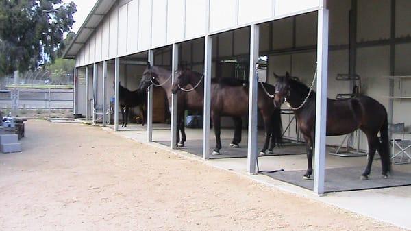 The boys patiently waiting for there turn.