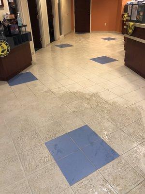 Tile Cleaning