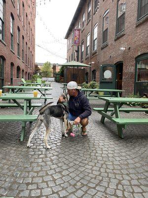 Outdoor seating area that is dog friendly