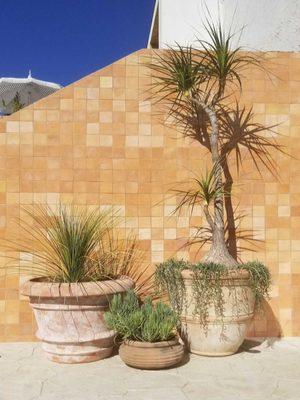 Large Italian Terracotta Planters