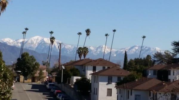 So Cal's Snow Capped Mountains & Palm Trees...