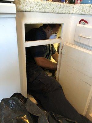 Jaime hard at work under the kitchen cabinet